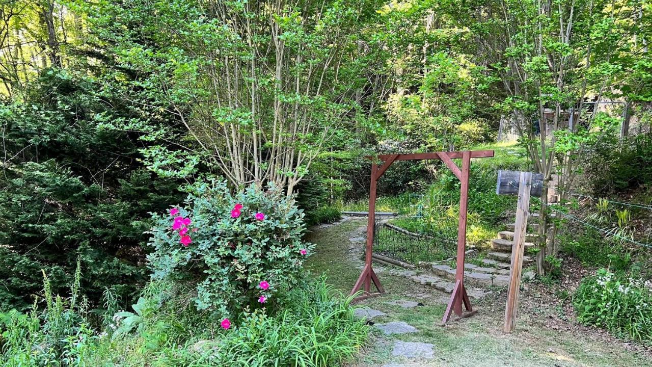 Misty Mountain Cottage Waynesville Extérieur photo